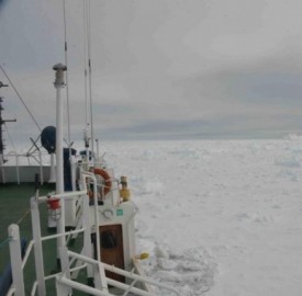 I ghiacci a perdita d'occhio e la nave bloccata