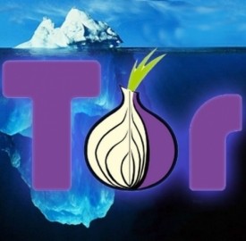 TOR è la chiave di accesso al Deep Web
