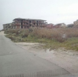 Asfalto e risaie un binomio vincente