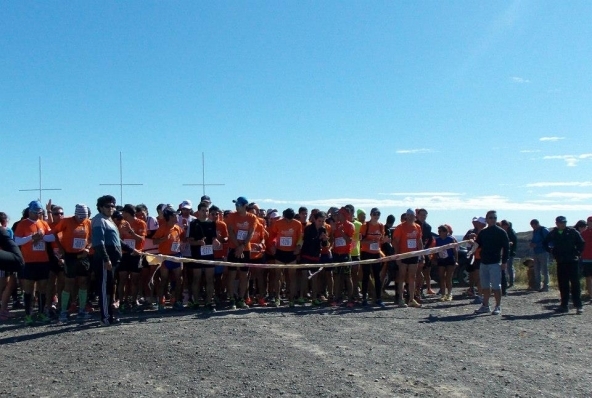 Las media maratones suman multitudes