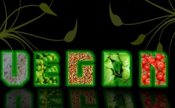La porcellana non è vegan, ecco perchè.