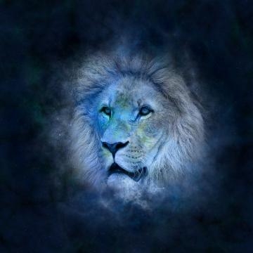 Oroscopo 2016, le previsioni per il Leone