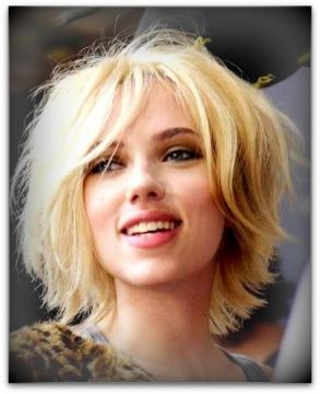 Bob shag, primavera 2015 