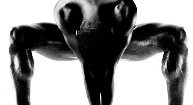 La potenza del corpo umano in mostra in Triennale