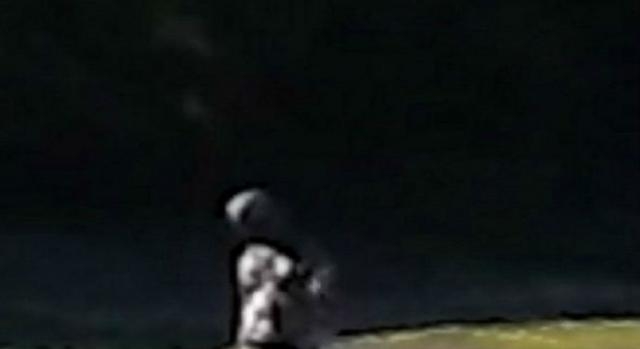 Foto dell'alieno avvistato a Devon pubblicata sul Daily Express.