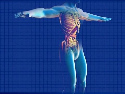 Morbo di Crohn: sintomi, diagnosi, alimentazione e cura | Tanta Salute - tantasalute.it