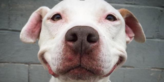 Joel Franco on Twitter: 