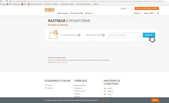 Tela de Rastreio para mercadorias enviadas pela TNT Express