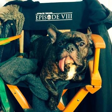 El Oso Espacial del Episodio 8