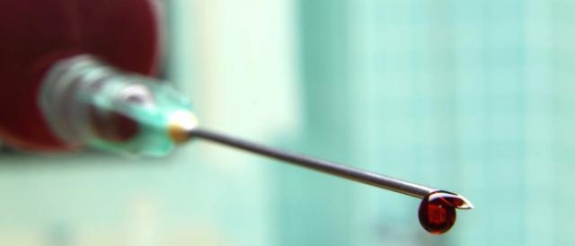 Un campione di sangue esaminato in laboratorio