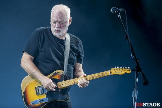Il celebre chitarrista David Gilmour