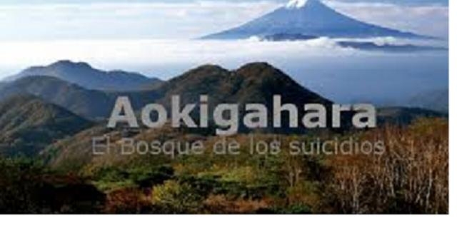 Aokigahara : El Bosque de los suicidios