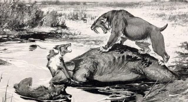 Two dire wolves and a smilodon. R. Bruce Horsfall via Wikipedia
