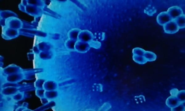 Immagine al microscopio dello Zika Virus