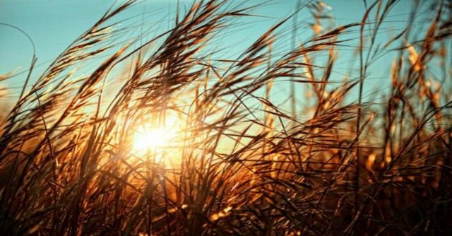 Prosperità Archivi - Giada Carta - giadacarta.com