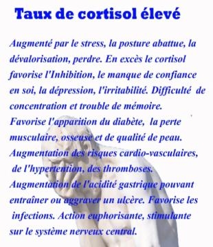 Taux de cortisol élevé - creer-son-bien-etre.org - Sophie Berger