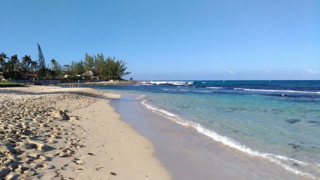 Next Stop: Ocho Rios - Jamaica