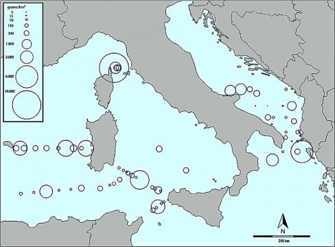 Microplastica galleggiante in mare aperto nel Mediterraneo ... - riverflash.it