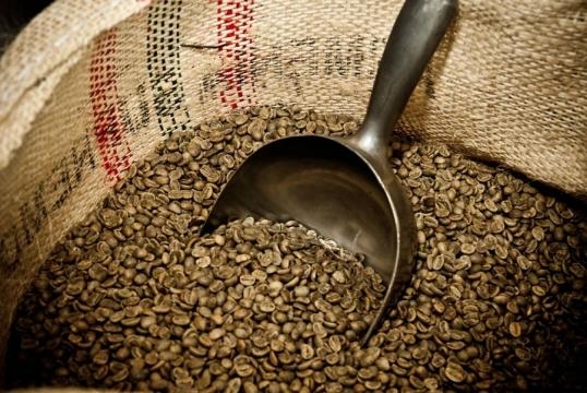 La storia del caffè Gourmet - Torrefazione Caffè Gourmet - torrefazionegourmet.it