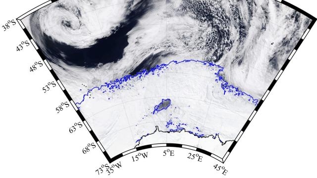 Immagine satellitare della polinia