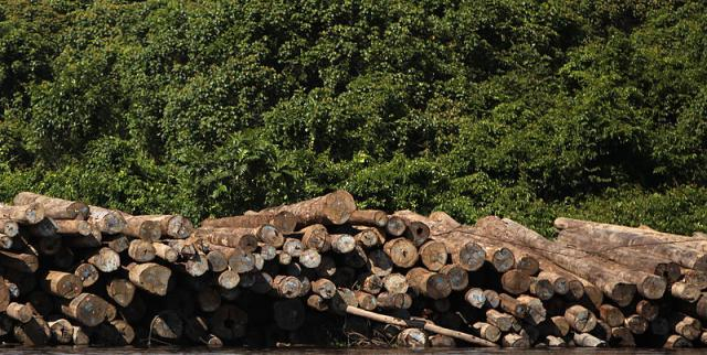 Evidence of deforestation (Image credit - Josh Estey/AusAID, Wikimedia Commons)
