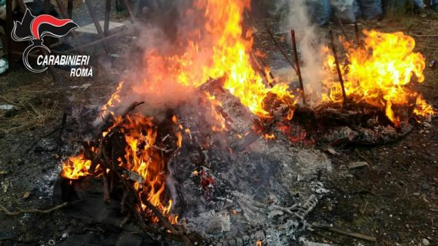 Blitz alla Collatina via Salone 4