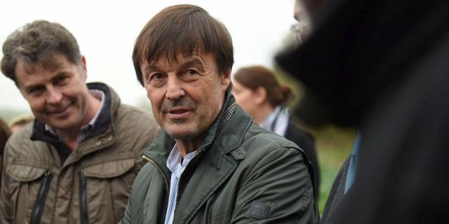 Nucléaire dans l'électricité française : 