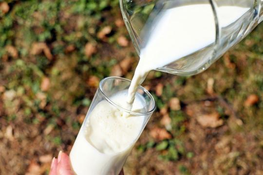 ritirato Lactalis, a rischio salmonella