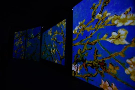 pannelli interattivi ed animati.