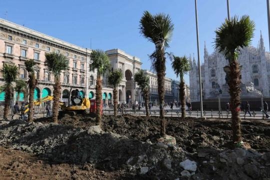 palme e banani in piazza Duomo