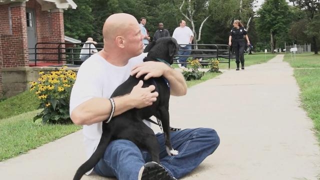 Dogs On The Inside - dogsontheinside.com