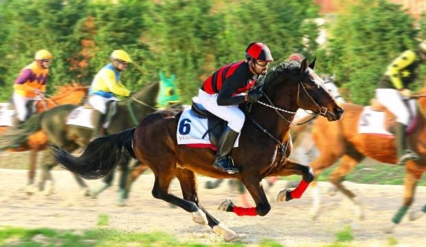 Sai Dharam Tej-Winner M - apnewsforum.com