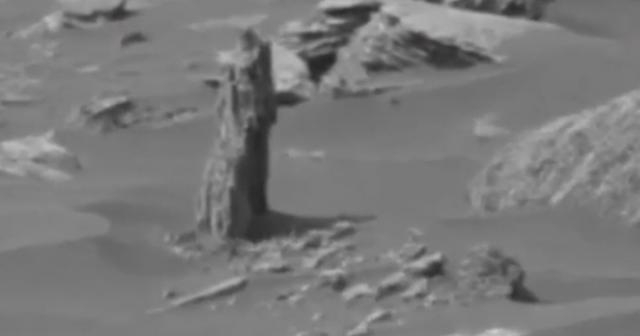 UFO hunter claims 'Martian tree' seen on Mars in Curiosity Rover ... - mirror.co.uk