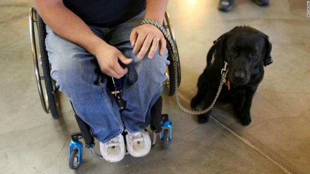 5 things you don't know about service dogs - CNN.com - cnn.com