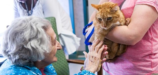 ASPCA Therapy Animal Program | ASPCA - aspca.org