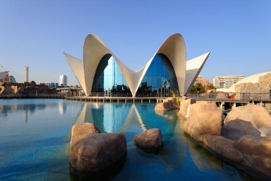 Vacanza con il proprio cane in Spagna