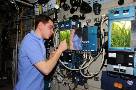 Veggie Activated to Grow Fresh Plants on Space Station | NASA - nasa.gov