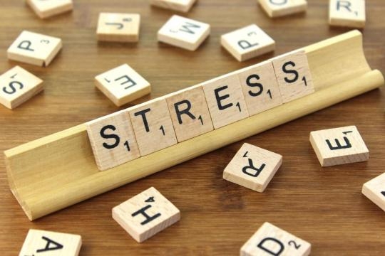 Stress - HAS et burn-out - CC BY