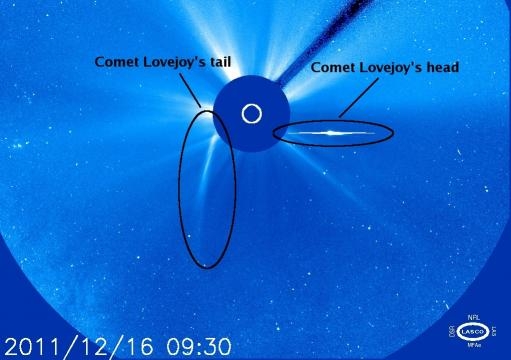 Comet 2011 Lovejoy, Sungrazer family. Credit: SOHO / NASA