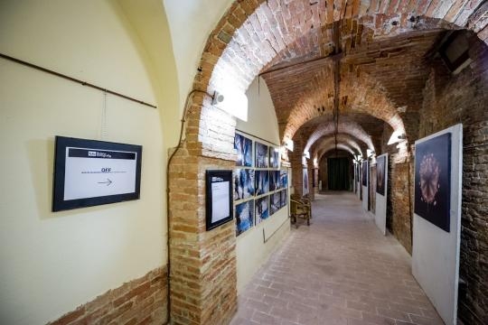 Mostra fotografica alla Galleria Furio Del Furia #MetticiLaFoto