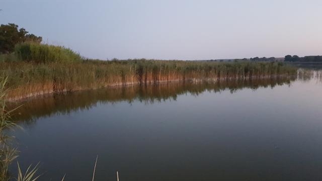 Abbassamento delle acque di un metro.