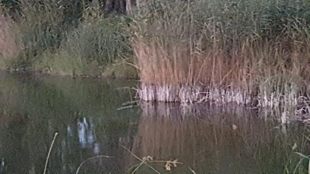 I laghi Alimini hanno abbassato il loro livello di acqua.