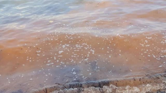 Alghe e mare rosso a San Cataldo, Salento.