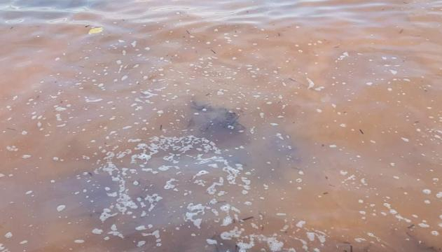 Molte alghe e mare rossastro in provincia di Lecce.