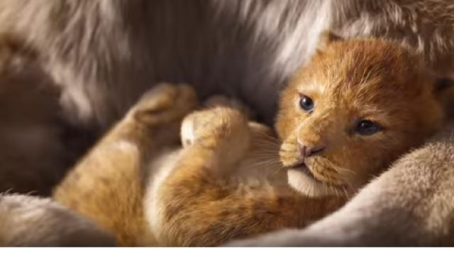 The Lion King (2019) official teaser trailer. [Image source/Walt Disney Studio YouTube video]