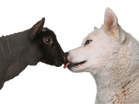 Oliviero Toscani: una storia di “magnifici fallimenti” – Espoarte - espoarte.net