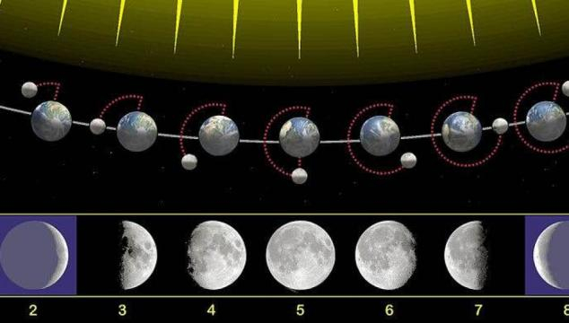 Ciclo lunar de 29 días y medio