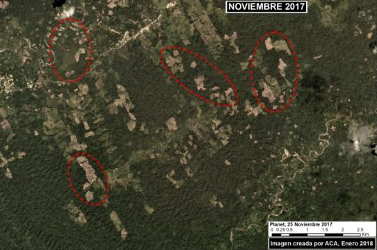 Deforestación en el distrito de Nieva, región de Amazonas. Foto: ACCA/MAAP.