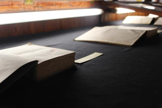 I libri di Doderlein e di Darwin (acquistati da Doderlein): collezione del museo Doderlein