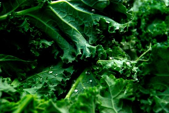 ¿Sabes que el calcio del kale es más fácil de asimilar que el que contiene la leche de vaca?